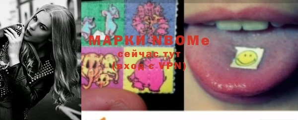 ПСИЛОЦИБИНОВЫЕ ГРИБЫ Арсеньев