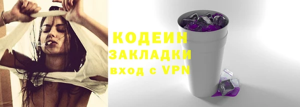 ПСИЛОЦИБИНОВЫЕ ГРИБЫ Арсеньев